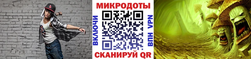 Галлюциногенные грибы Psilocybe  Западная Двина 