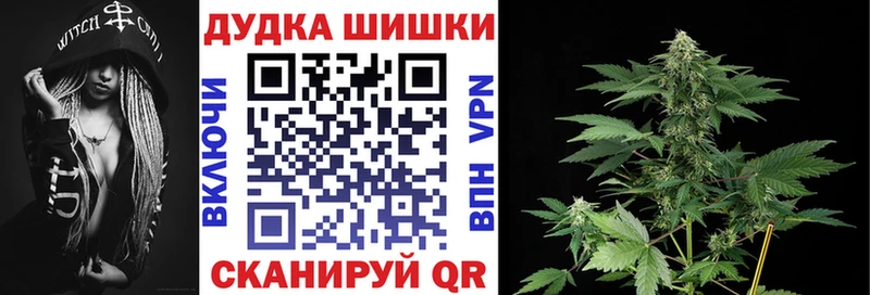 купить наркотики цена  Западная Двина  Конопля SATIVA & INDICA 